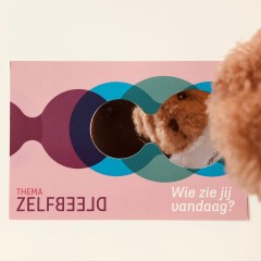 Kaart Week van de Vaktherapie 2025, thema Zelfbeeld